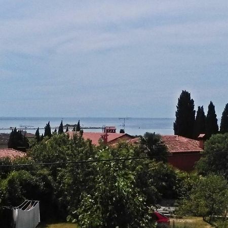 Apartments Zambratija Εξωτερικό φωτογραφία